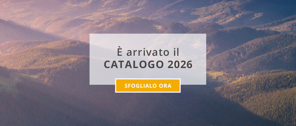Catalogo 2026